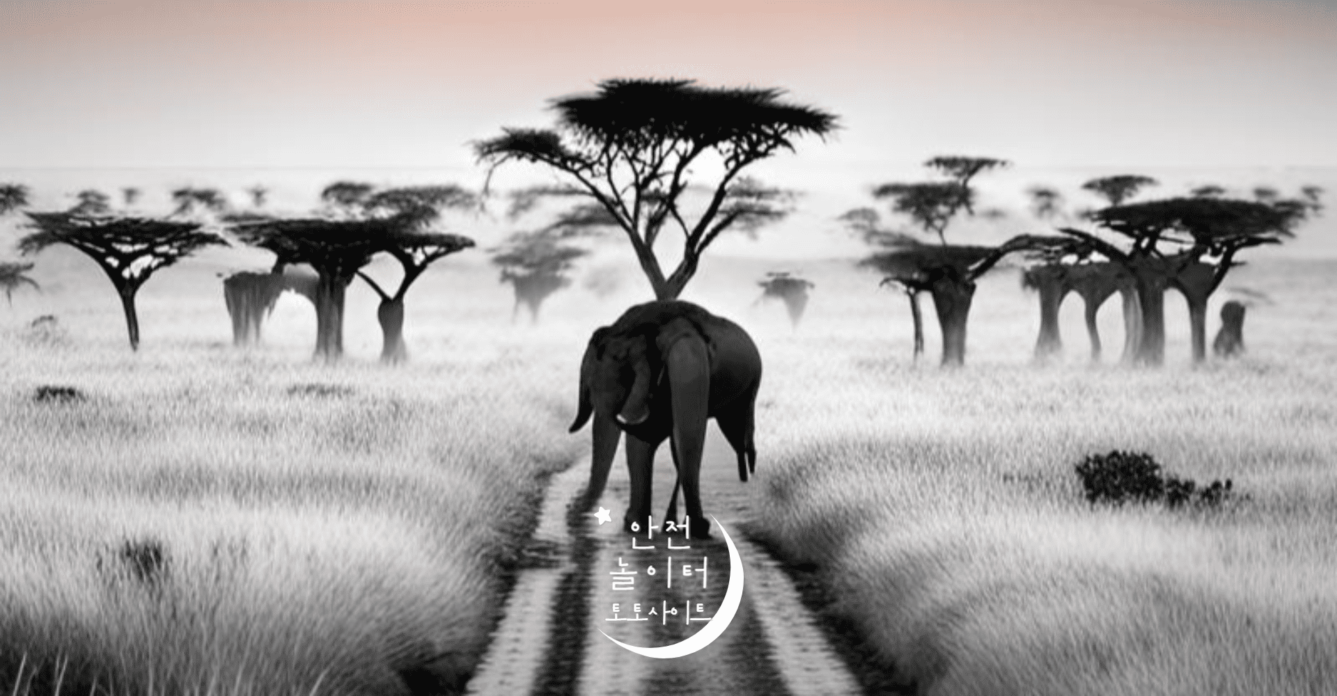 안전놀이터 선택 가이드